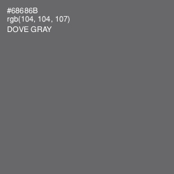 #68686B - Dove Gray Color Image